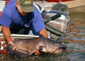 Red River of the North: World’s Best Fishing for Giant Channel Cats