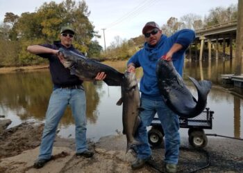 Why We Catfish: A Guest Editorial by Brandon Whaley