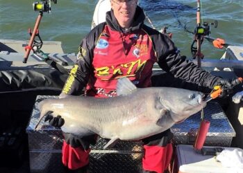 Reducing Tournament Mortality