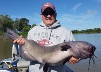 Rule of 4 Catfishing