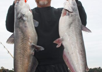 Diary of a Tournament Catfisherman