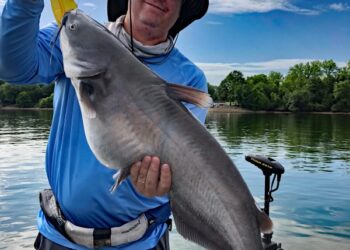 Light Tackle for Big Cats