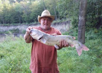 Bushwhacking Catfish