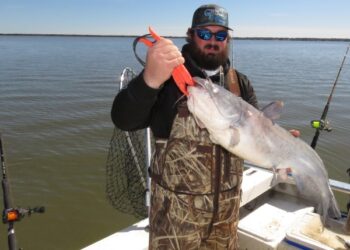 Santee’s Shallow Water Cats