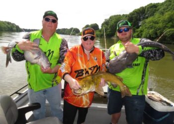 Probing New Catfish Waters: Part 1