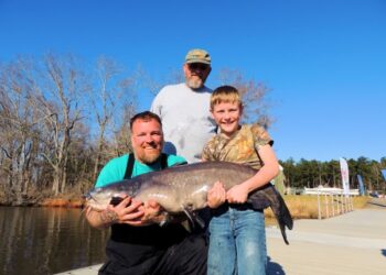 Trophy Catfish for the Future