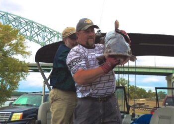 Below the Surface: Sharing the Catfish Culture