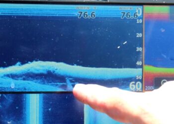 Five Tips from a First-Timer’s Flathead Trip