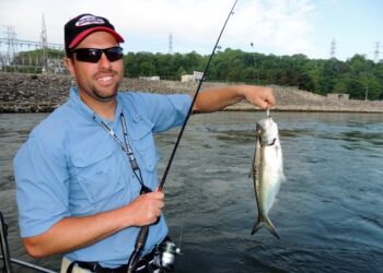 Guntersville Flatties