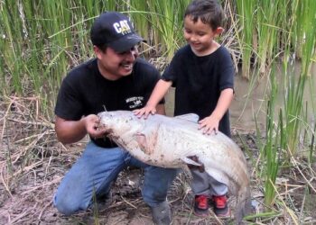 Why We Catfish: A Guest Editorial by Kris Flores