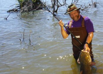 The Fall Feeding Binge: Fish Now for More Fun