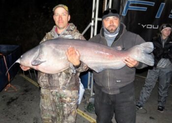 Looking Forward to Winter Blues on Wheeler