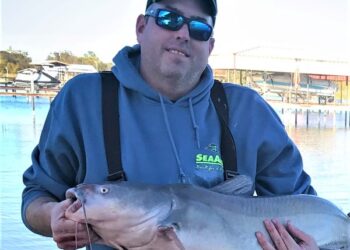 Many Guides Support Selective Harvest