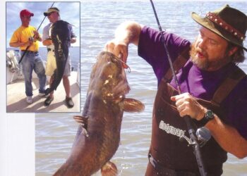 Catfish Basics #004 – Something Smells