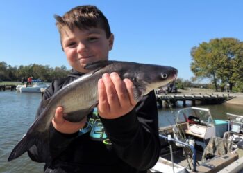 Habitat and Public Lands – Kudos to Indiana DNR