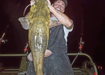 Flatheads for Beginners