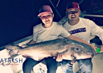 Why We Catfish: A Guest Editorial by Matthew Miles