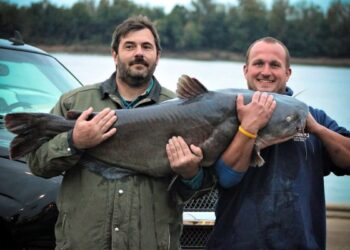 Monsters on the Ohio 2018