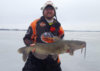 4 Conservation Tips for Hard Water Cats