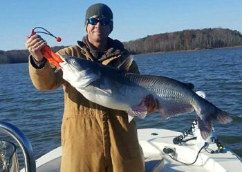 Always looking for the next big cat