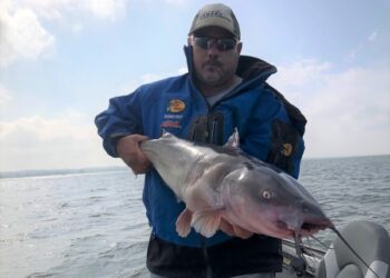 Channel Cats the Kansas Way