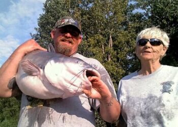 Catfish Basics #005 – Attitude Adjustment