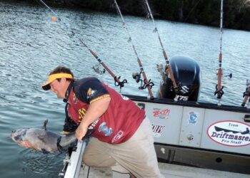 CATFISH CONSERVATION : The Little Things That Matter