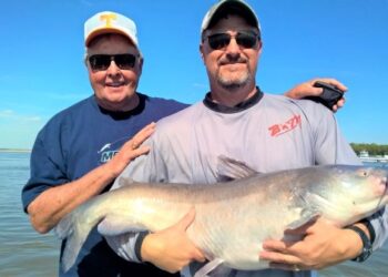 Catfish Profiles in Passion – B’n’M Pole Company
