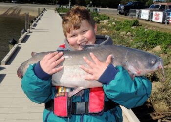 Conservation Terms to Teach Your Kids