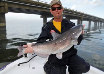 New Action from an Ancient Lake