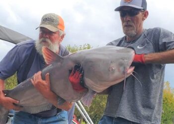 catfish, tournament, KC, blue cat, channel cat, flathead, King Kat, Missouri River,