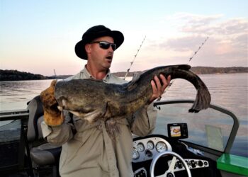 Giving up Ditch Pickles for Catfish