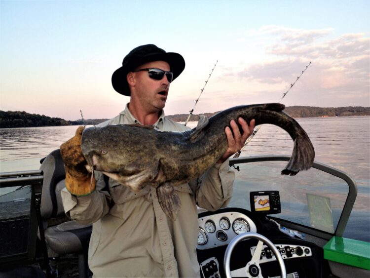 Giving up Ditch Pickles for Catfish