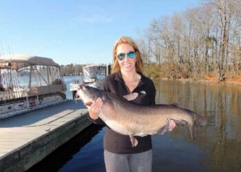 Back Cover – August 2017