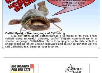 Catfish Speak