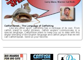 Catfish Speak