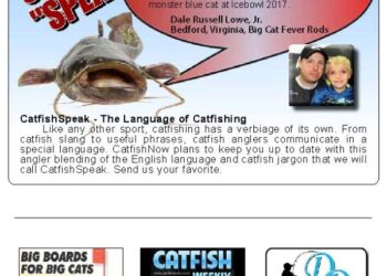 Catfish Speak: “Sliding Steel”