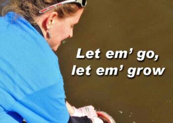 Back Cover September 2017