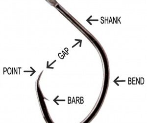 Hooks for Catfishing