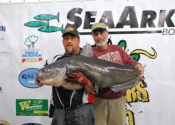 Looking Back at Monsters on the Ohio