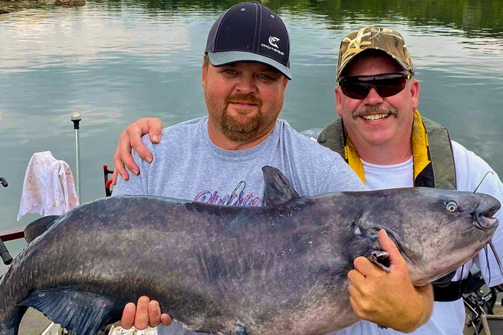 NEW Samsel_Blue_Catfish_Story