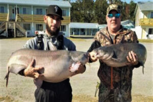 Mike Durham and Brad McCall claimed top honors at the 2019 Shootout with a two-day weight of 153.05 pounds. Big cats like this are what make the Shootout popular with anglers. 