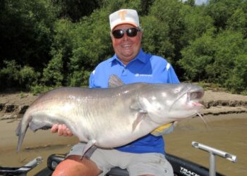 Catfish Profiles in Passion – Bill Dance