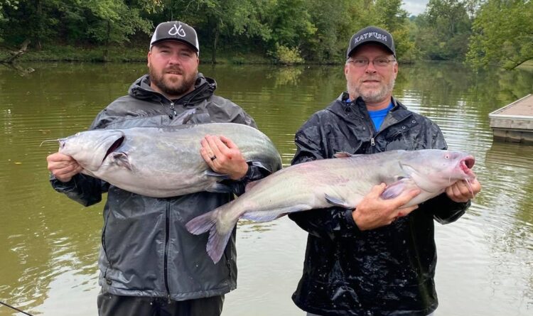 Kanawha River Catfish Club , catfish, tournament, flathead, blue cat, channel cat, Brian Antill, Josh Antill, championship