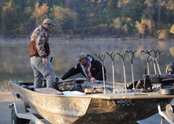 Beating the Odds on Fall Cats in Santee Cooper Country