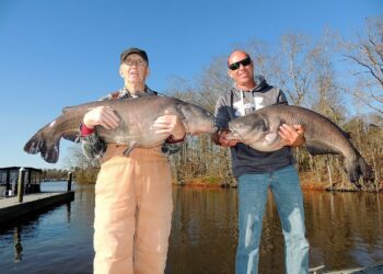 Will 250 pounds win Cabela’s King Kat on Santee Cooper?