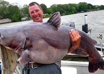 Ryan Gnagy and Kevin Parks claim 2017 Sea Ark Owners Tournament on Wheeler