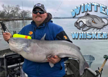 intermediate, catfish, blue cat, flathead, channel cat, tournament, Old Hickory Lake, Cumberland River, Dalton Driver, Seth Hedrick, Winter Whiskers