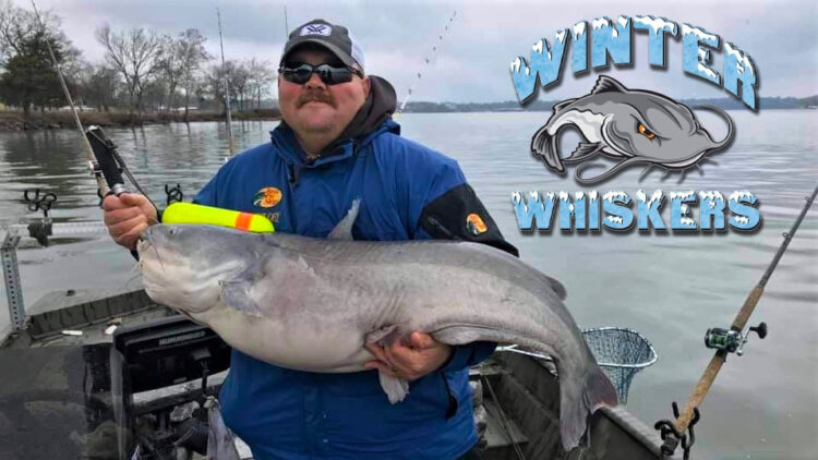 intermediate, catfish, blue cat, flathead, channel cat, tournament, Old Hickory Lake, Cumberland River, Dalton Driver, Seth Hedrick, Winter Whiskers