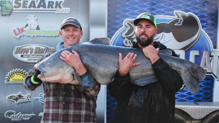 Fishing, catfish, blue catfish, flathead, channel, tournament, bumping, Crystal City, MO, Missouri, Mississippi River, SeaArk Boats, BnM Poles, Driftmaster Rod Holders, Alex Nagy, Twisted Cat Outdoors, Rob Benningfield, Ricky Eislet, Charles LaPlant, Mike Davis, Hayden Gunther, Rachael Monnig, Brad Shoemate